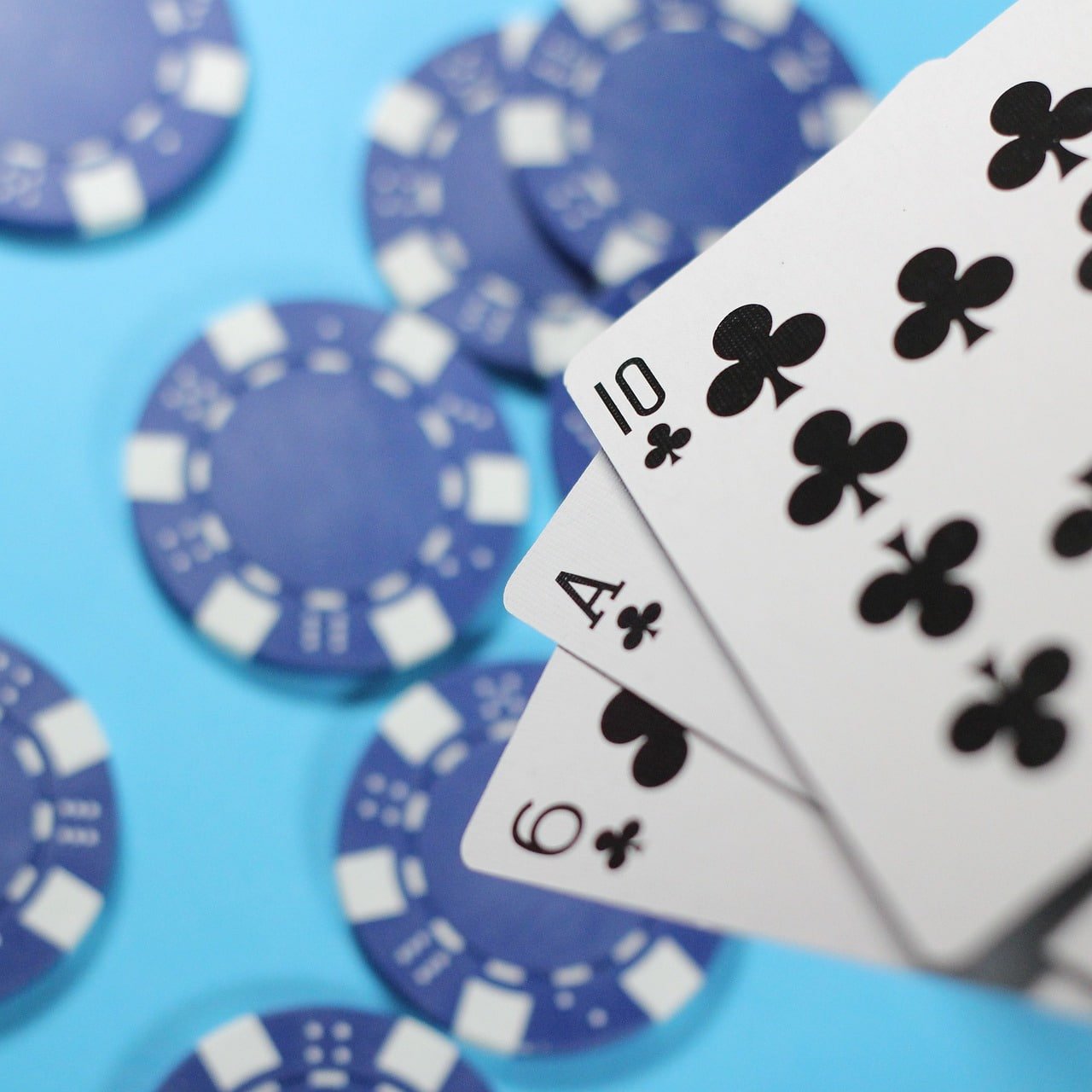 566bet